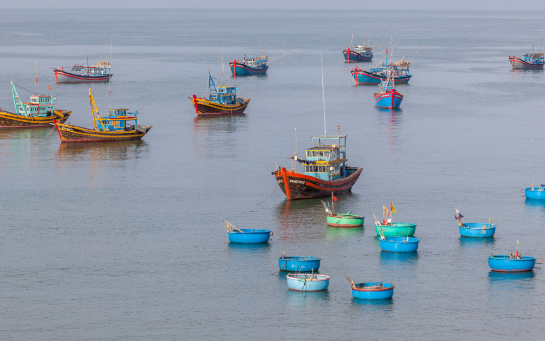 MAR 2030 lança apoios à atividade produtiva no sector da pesca e da aquicultura