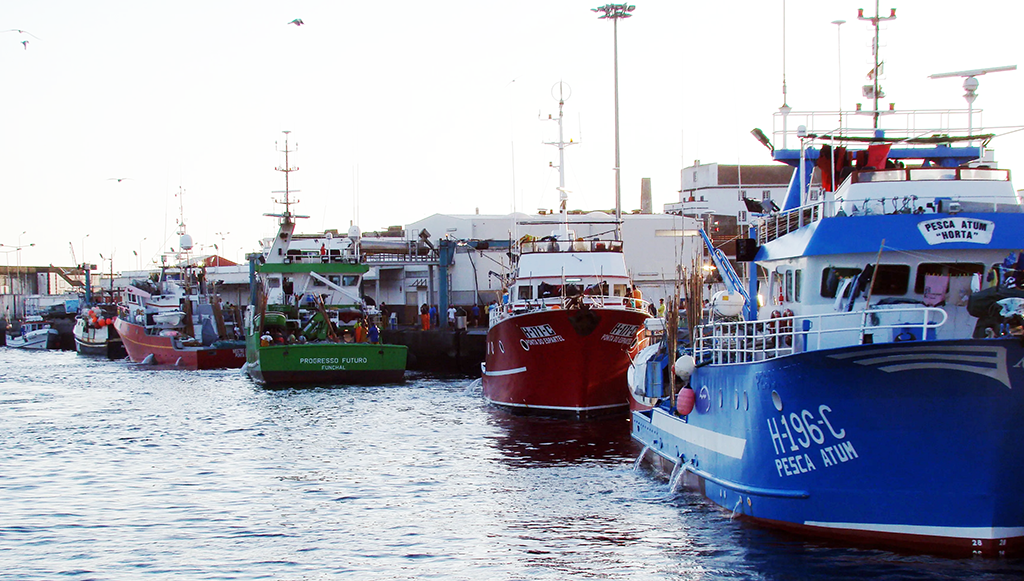 Concurso para investimentos a bordo e inovação produtiva das empresas de pesca nos Açores