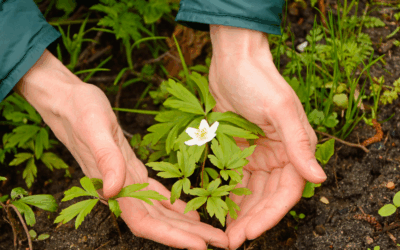 Apoio para proteção do Ambiente no Algarve