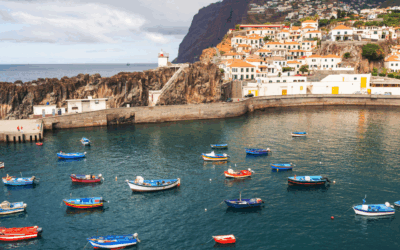 Apoio para cessação temporária das atividades de pesca na Madeira