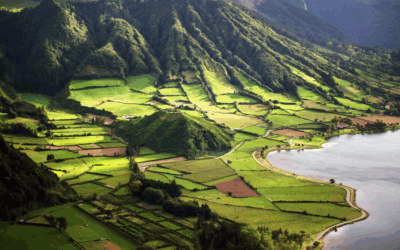 Conservação da natureza, biodiversidade e património natural com apoio nos Açores