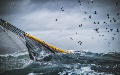Apoio para a cessação temporária da pesca devido às tempestades que assolaram Portugal