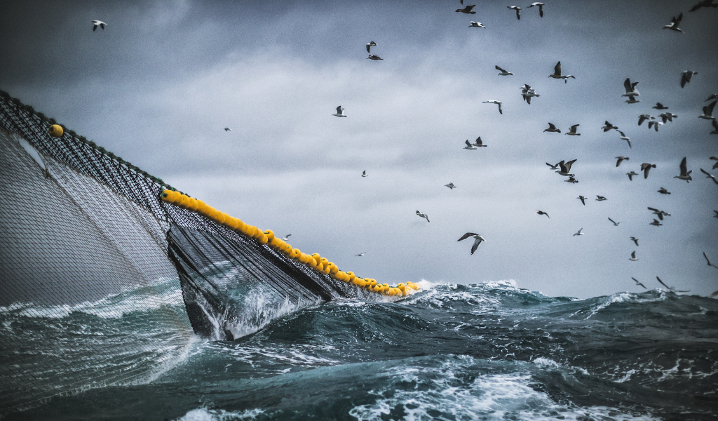 PT2030_Pesca_tempestade