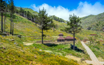 Madeira 2030 investe no Parque Ecológico do Funchal