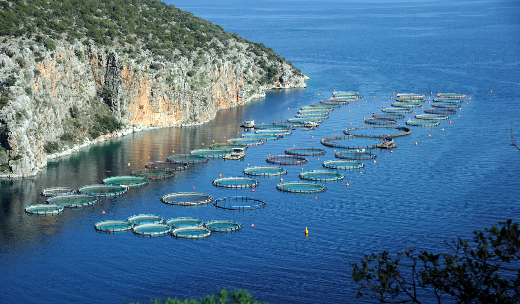 PT2030_Pesca_Madeira