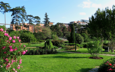 Centro 2030 com apoio para infraestruturas verdes em centros urbanos