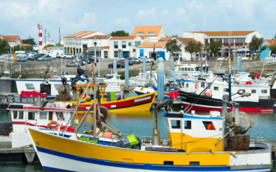 Apoio a investimentos em portos de pesca, lotas e abrigos