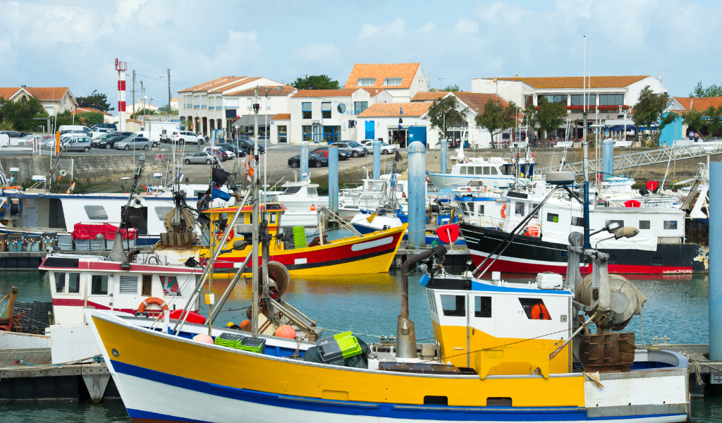Apoio a investimentos em portos de pesca, lotas e abrigos