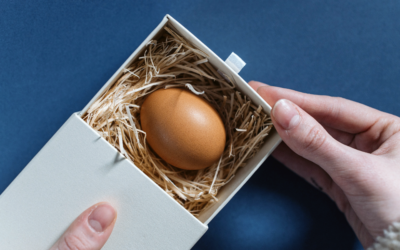 Projeto “Clara-Value” transforma a clara de ovo em embalagens alimentares sustentáveis