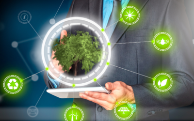 Madeira 2030 apoia eficiência energética e descarbonização das empresas na região