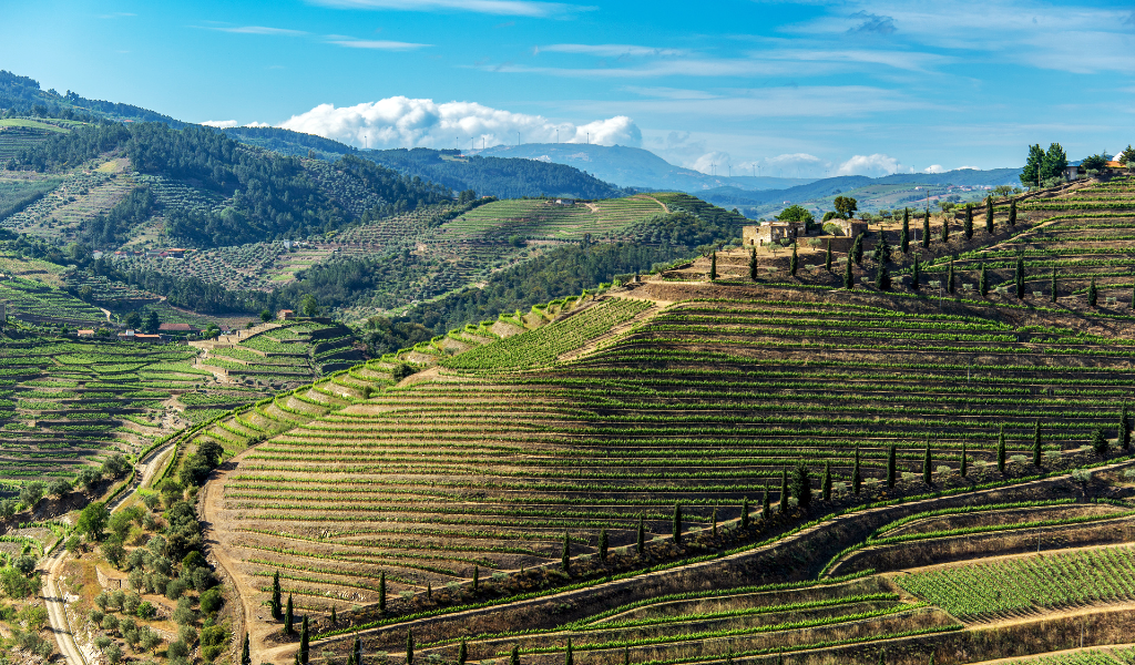PT2030_Agricola_Norte