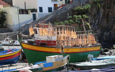 Mar 2030 apoia pescas e aquicultura na Madeira pelo excecional aumento dos custos de produção