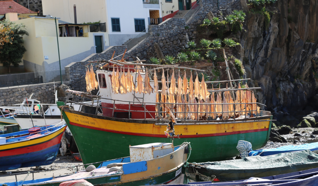 PT2030_Pesca_Madeira