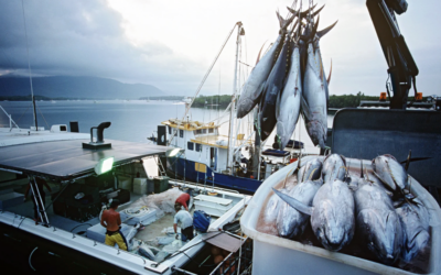 MAR 2030 compensa operadores de pesca dos Açores pelo excecional aumento dos custos de produção